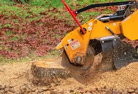 Best Tree Maintenance Programs  in Angustura, NM